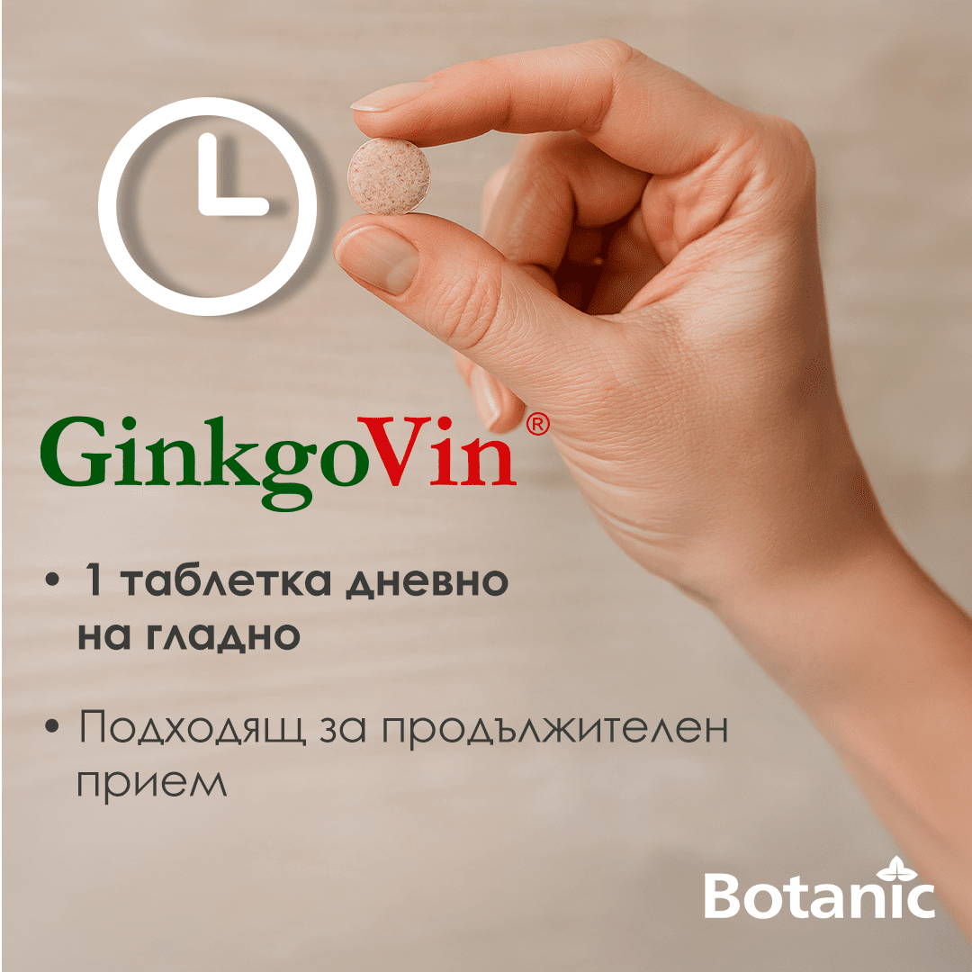 ГинкоВин | GinkgoVin - Image 3