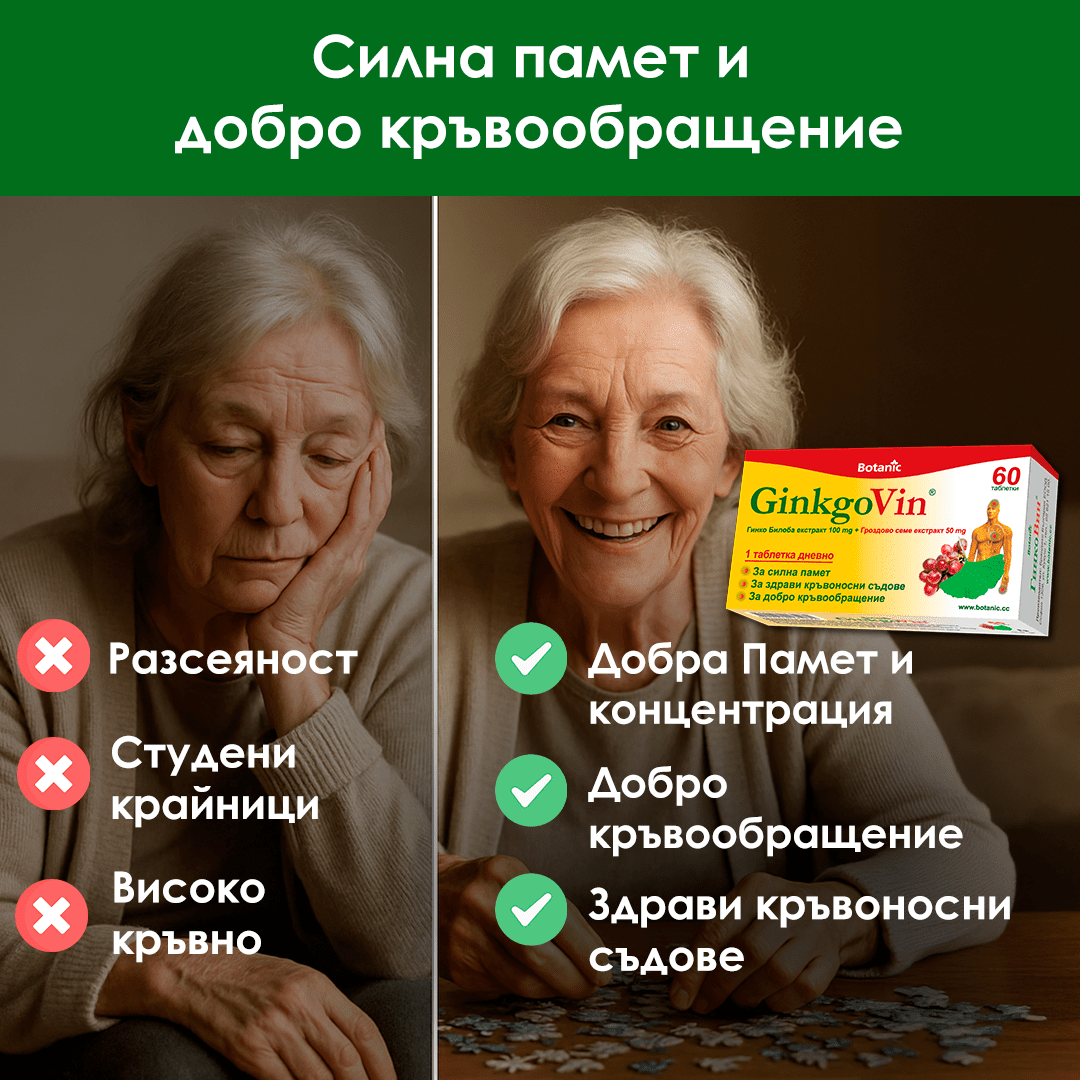 ГинкоВин | GinkgoVin - Image 2