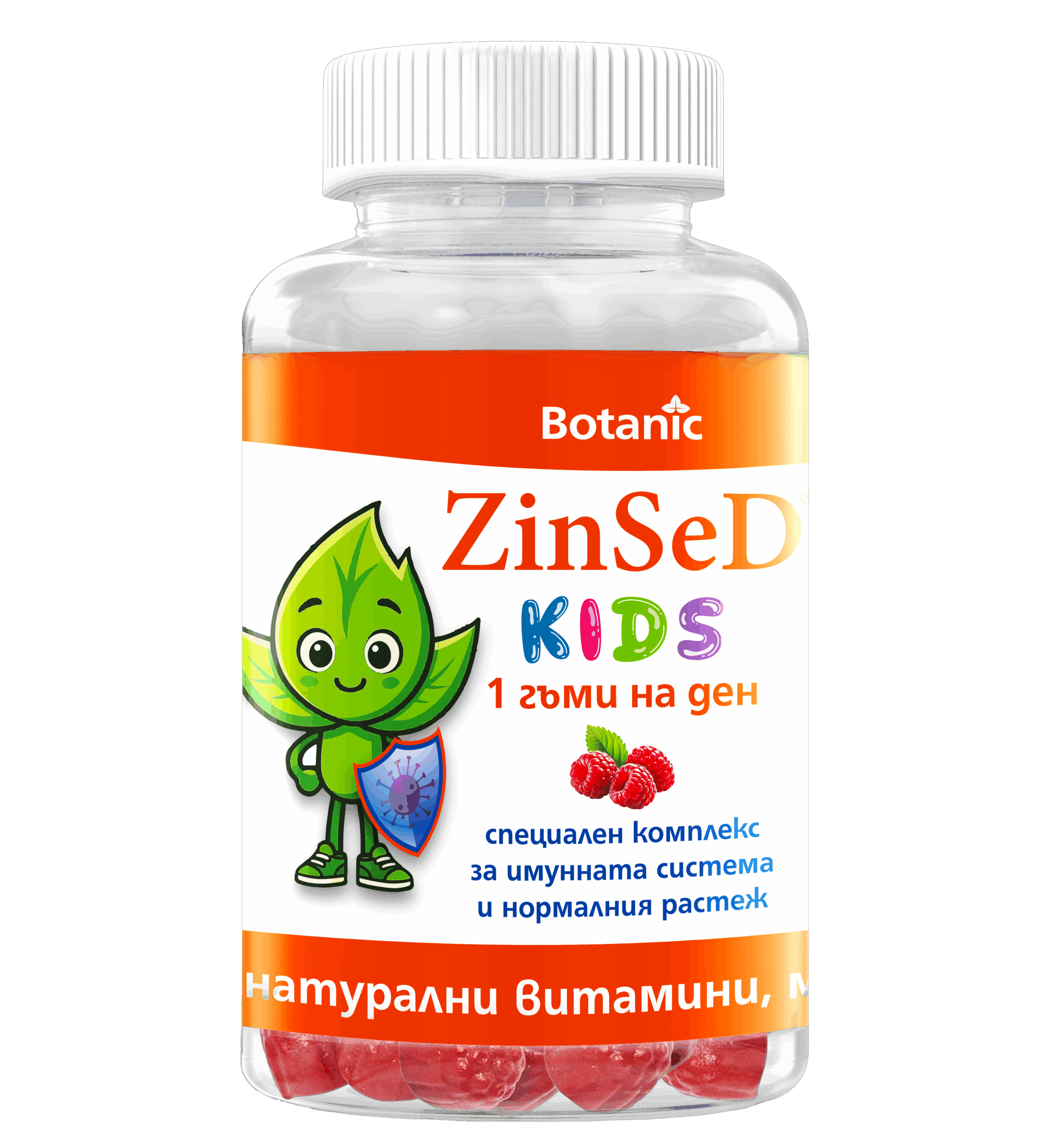 ЗинСеД кидс | ZinSeD kids
